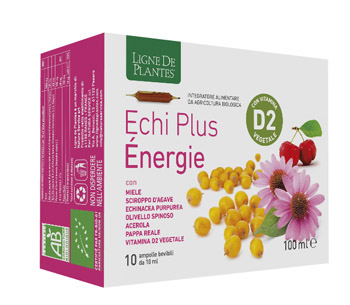 ECHI PLUS ENERGIE 10AMPOLLE