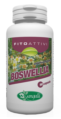 FITOATTIVI BOSWELIA 90CPS