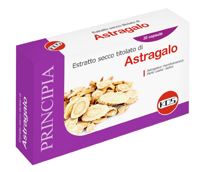 ASTRAGALO ES 70% 500MG 30CPS