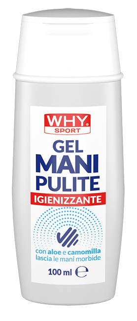 WHYSPORT GEL MANI PULITE 100ML