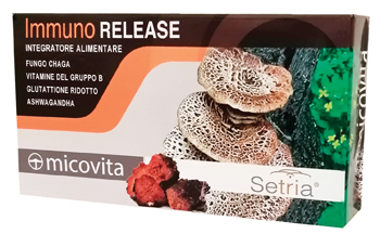 IMMUNO RELEASE MICOVITA 60CPR