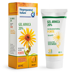 FPI GEL ARNICA 100ML