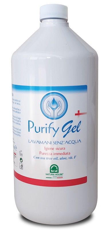 PURIFY GEL LAVAMANI 1000ML RIC