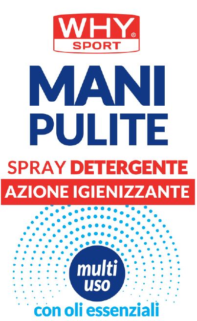 WHYSPORT MANI PULITE SPRAY