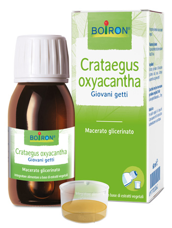 CRATAEGUS BOIRON MG 60ML