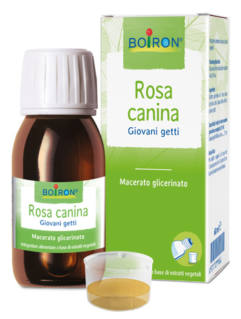 ROSA CANINA BOIRON MG 60ML