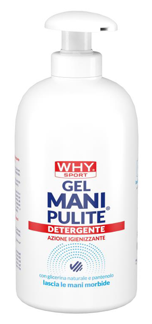 WHYSPORT MANI PUL DET PAN500ML