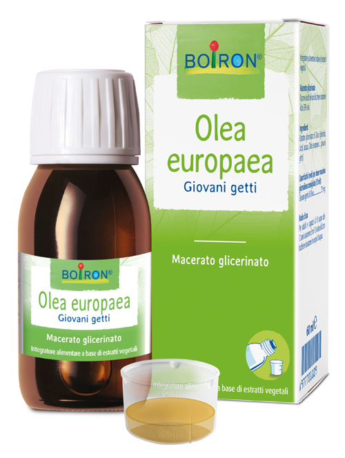 OLEA EUROPAEA BOIRON MG 60ML