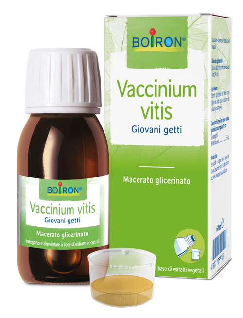 VACCINIUM VITIS MG 60ML