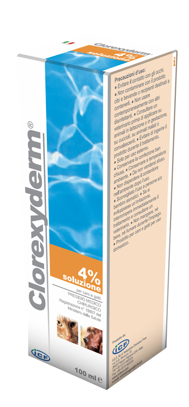 CLOREXYDERM SOL 4% SCHIUMA