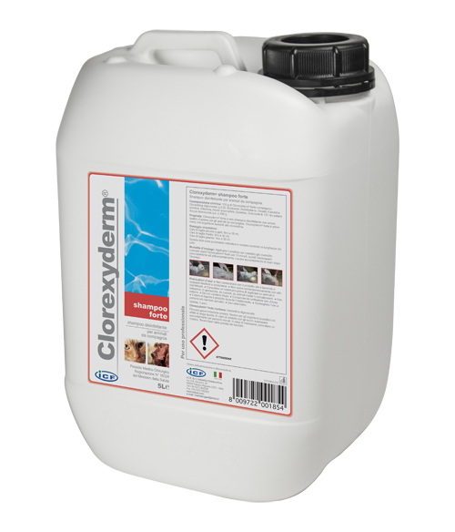 CLOREXYDERM SHAMPOO FORTE 5L