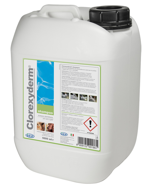 CLOREXYDERM SHAMPOO 5L