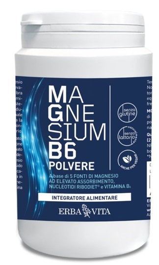 MAGNESIUM B6 POLV 200G