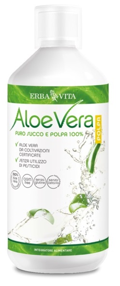 ALOE VERA PURO SUC C/POLPA 1L