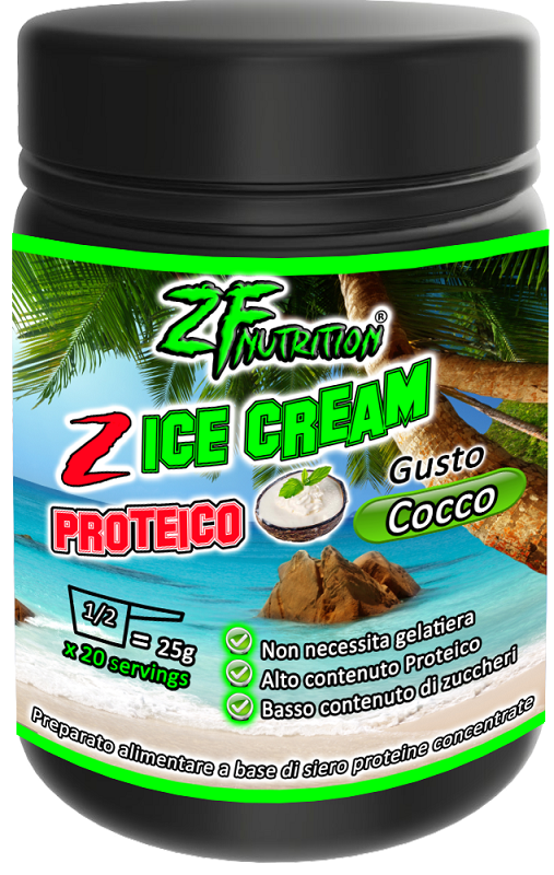 Z ICE CREAM PROTEICO COCCO500G