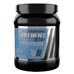 AVM HIGH PERFORM AMINO EVO450G