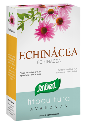 FITOCULTURA ECHINACEA 40CPS