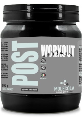 MOLECOLA POST WORKOUT POLV250G