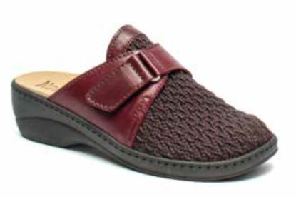 CAINES ELASTICIZZATO+P BRD 35 CAINES ELASTICIZZATO+P BRD 35
