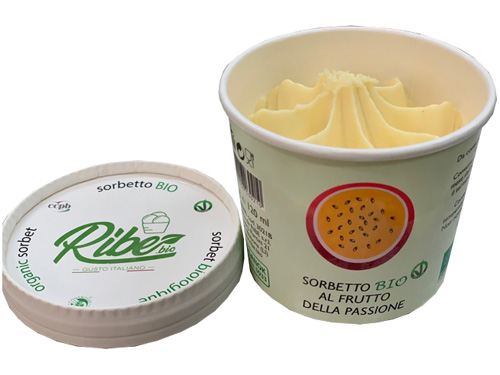 SORBETTO BIO FRUTTO PASSIONE