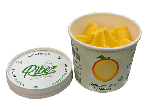 SORBETTO BIO MANGO 75G