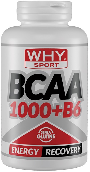 WHYSPORT BCAA 1000+B6 300CPR