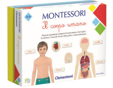 MONTESSORI IL CORPO UMANO