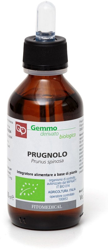 PRUGNOLO MG 100ML BIO