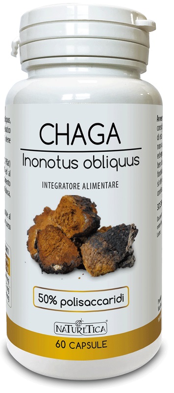 CHAGA GOLD INONOTUS OBL 60CPS