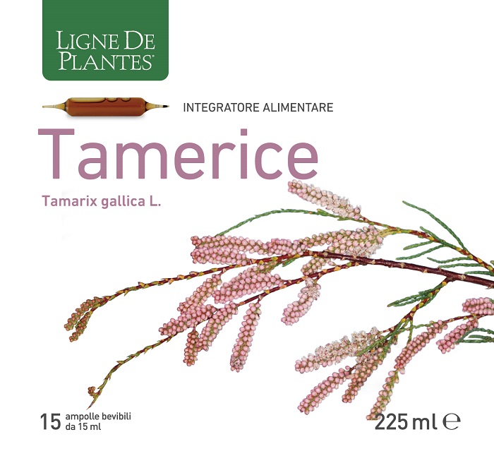 TAMERICE 15AMPOLLE