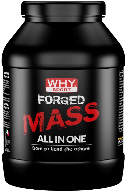 WHYSPORT FORGED MASS CACAO 1KG