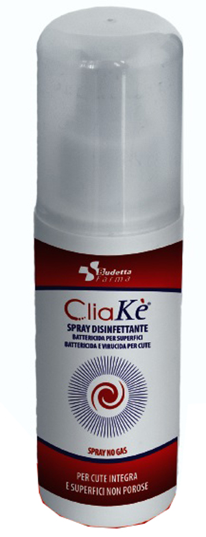 CLIAKE' SPRAY DISIN SUPER500ML