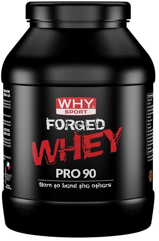 WHYSPORT FORGED WHEY CACAO900G