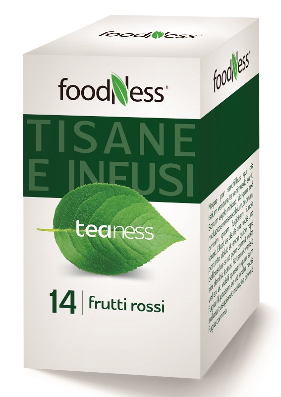 FOODNESS INFUSO FRUT RO 20FILT