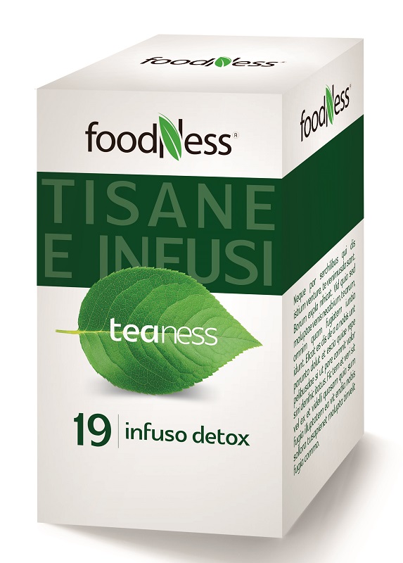 FOODNESS INFUSO DETOX 20FILT