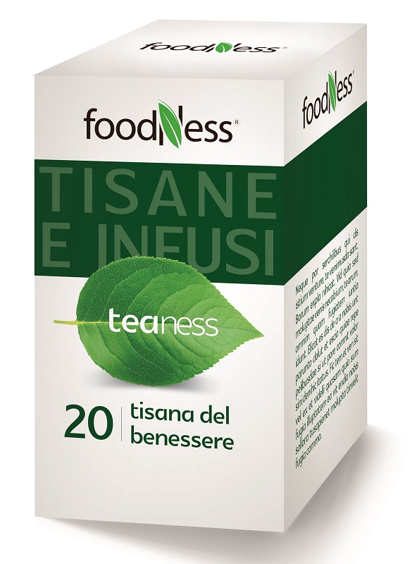 FOODNESS TISANA BENESSERE 40G