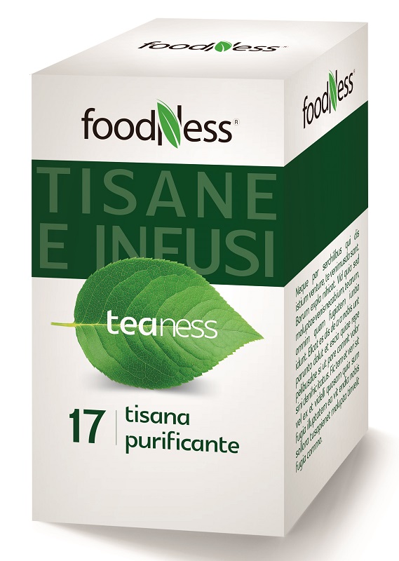 FOODNESS TISANA PURIFICANTE40G