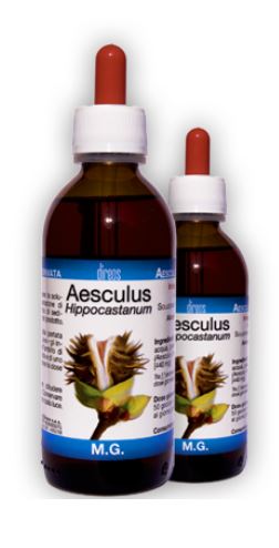 AESCULUS HIPPOCAST MG 50ML