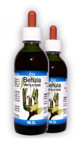 BETULA VERRUCOSA 150ML MG