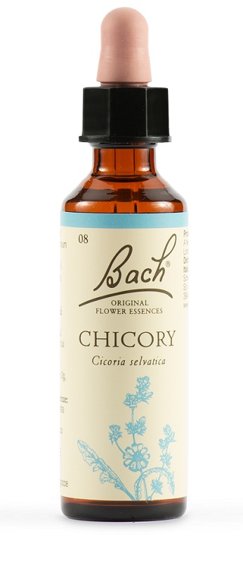 CHICORY BACH ORIG 20ML