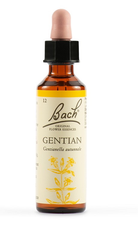 GENTIAN BACH ORIG 20ML