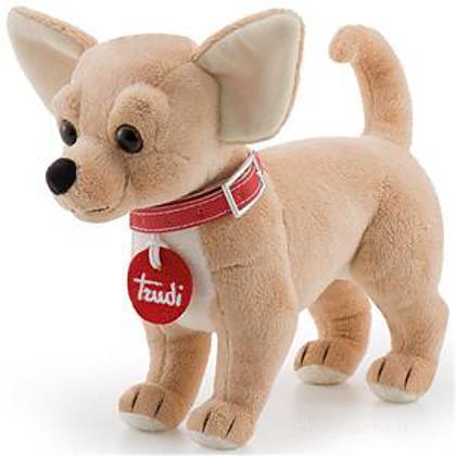 TRUDI CHIHUAHUA XS