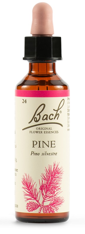 PINE BACH ORIG 20ML