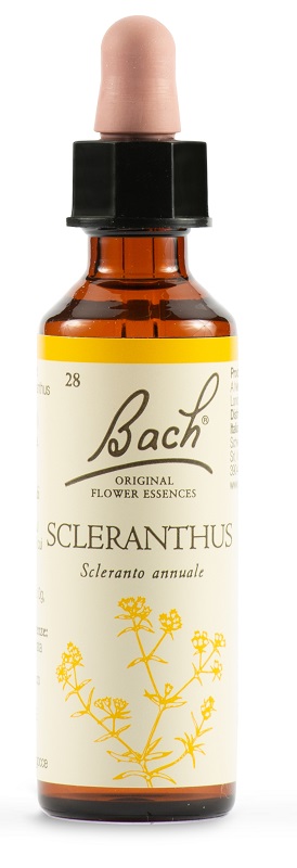 SCLERANTUS BACH ORIG 20ML