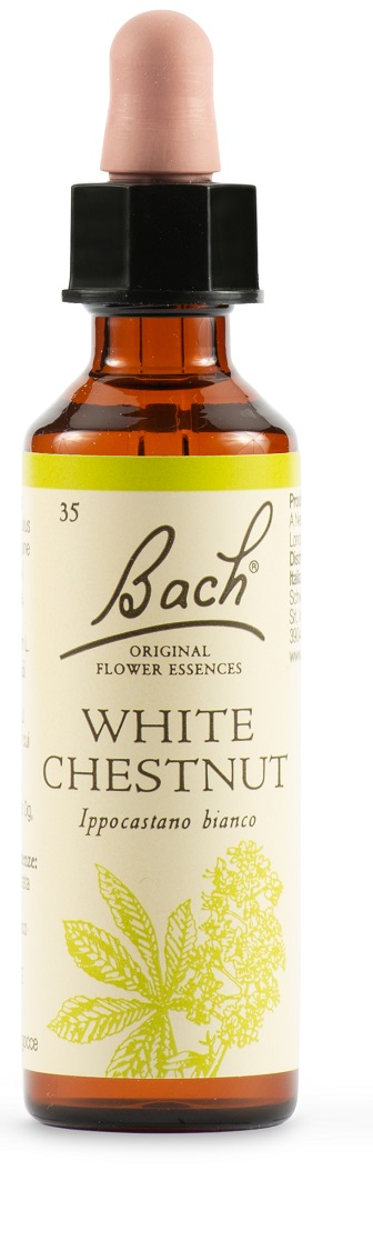 WHITE CHEST BACH ORIG 20ML