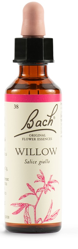 WILLOW BACH ORIG 20ML