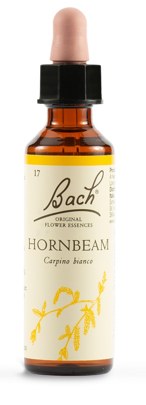 HORNBEAM BACH ORIG 20ML