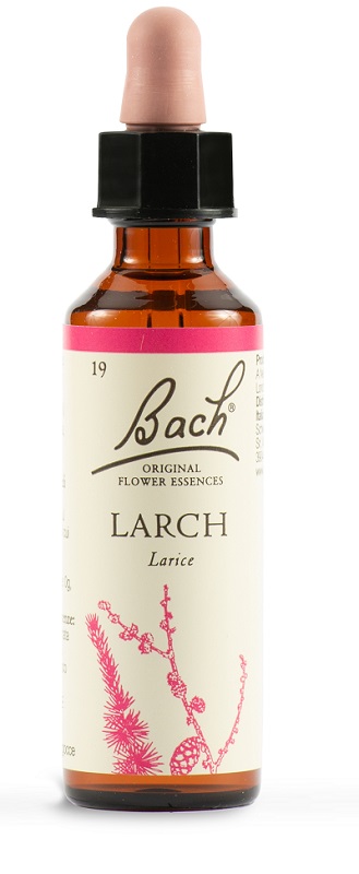 LARCH BACH ORIG 20ML