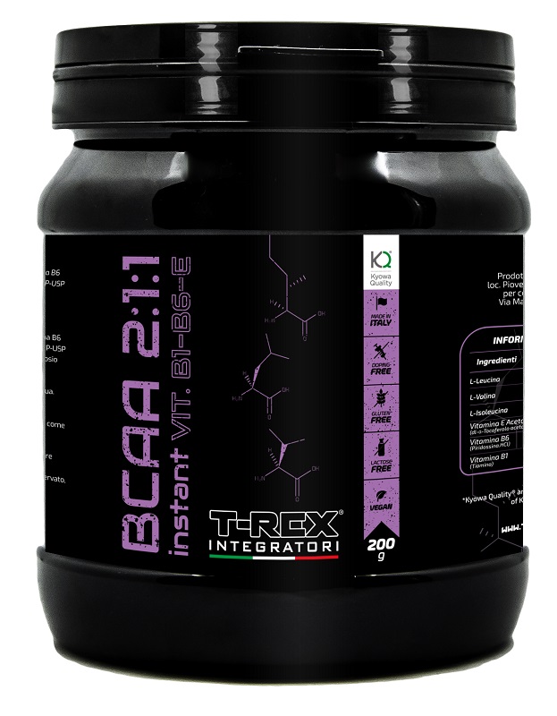 T-REX BCAA 211 INSTANT ARA200G