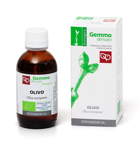 OLIVO MG 50ML BIO